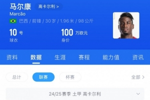 三镇旧将马尔康本赛季土甲8球8助，助高卡尔利提前三轮升入土超